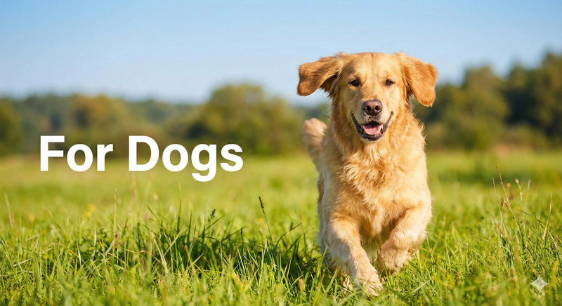 For Dogs